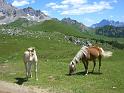 DOLOMITI2009 (104)